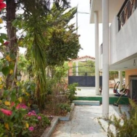 George 'S Nest Apartment Agios Spyridon  Exterior photo